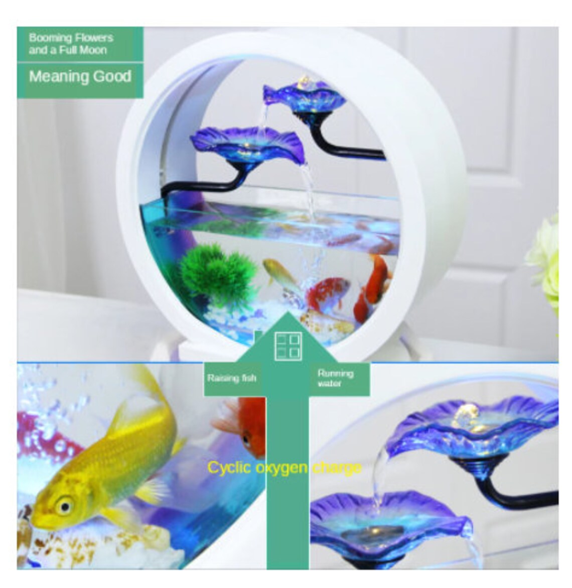 Goldfish Bowl Decoration Living Room Small Ecological Desktop Etsy