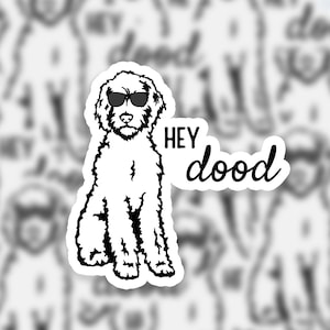 Hey Dood | Sticker | Fully Waterproof | Pet Stickers | Golden Doodle Sticker | Sticker for yeti hydroflask, laptop, pc. | Pet Lover Stickers