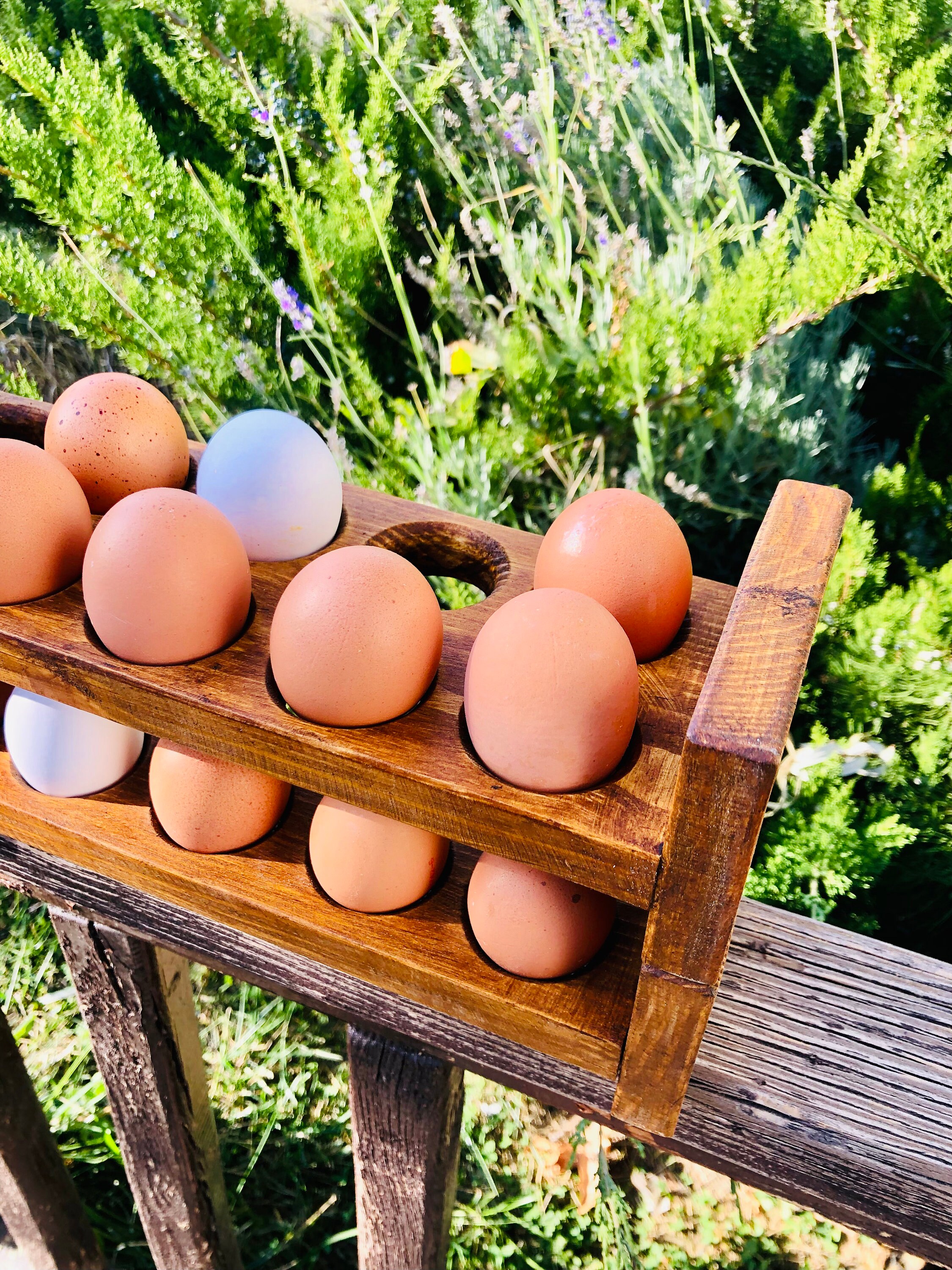Farmhouse Egg Tray — Rooted Woodworking