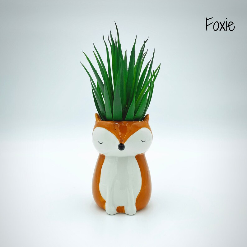 Mini Animal Planters Etsy