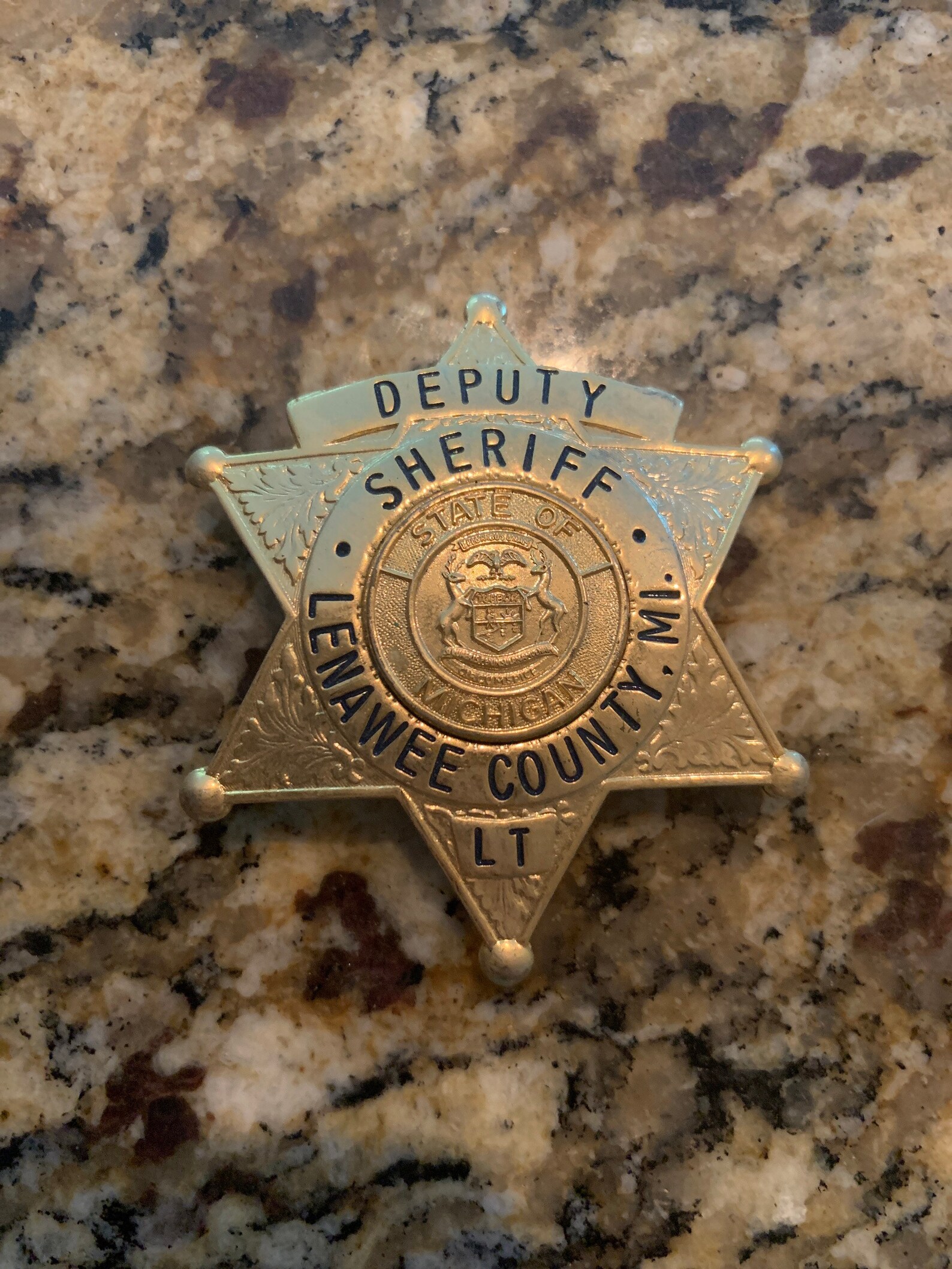 Obsolete Lenawee Co Mi Deputy Sheriff Lt Badge Etsy