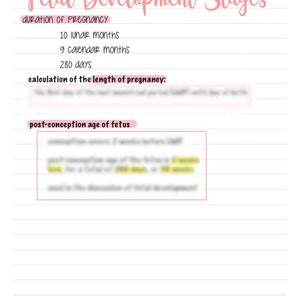 Fetal Development (Antepartum)