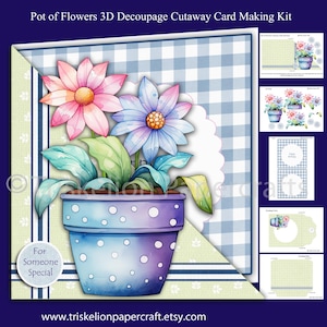 Könnte beinhalten: Ein 3D-Decoupage-Kartenset mit einem Blumen-Topf-Motiv. Die Aquarell-Illustration zeigt einen blau-violetten Topf mit weißen Punkten und rosa und blauen Blumen. Der Hintergrund hat ein blaues Vichy-Muster. Der Text lautet "For Someone Special".
