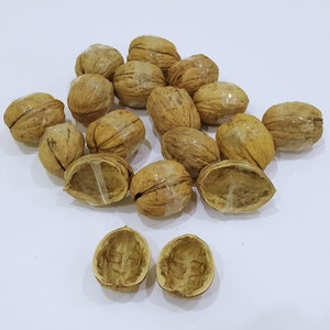 May include: A collection of light brown walnut shells, some whole and some split into halves. Several of the whole walnuts are wrapped with a thin strip of clear adhesive tape. The shells have a textured, woody surface with natural ridges.
