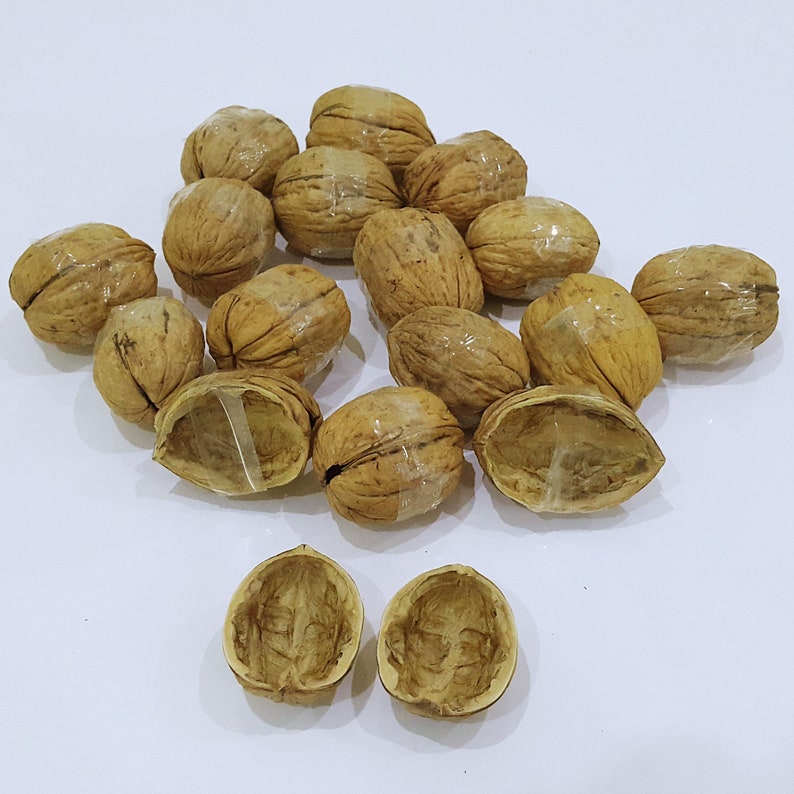May include: A collection of light brown walnut shells, some whole and some split into halves. Several of the whole walnuts are wrapped with a thin strip of clear adhesive tape. The shells have a textured, woody surface with natural ridges.