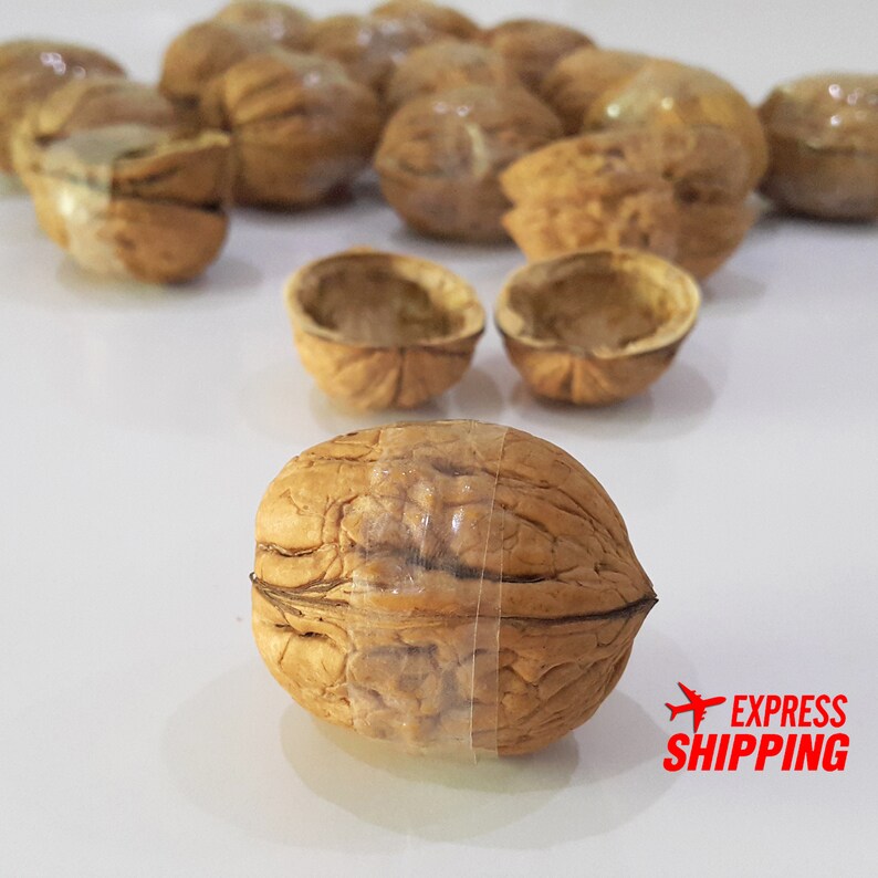 May include: A collection of brown, textured walnut shells, with one whole walnut wrapped in a thin, clear adhesive strip positioned in the foreground, while several other whole and halved walnut shells are scattered in the background.