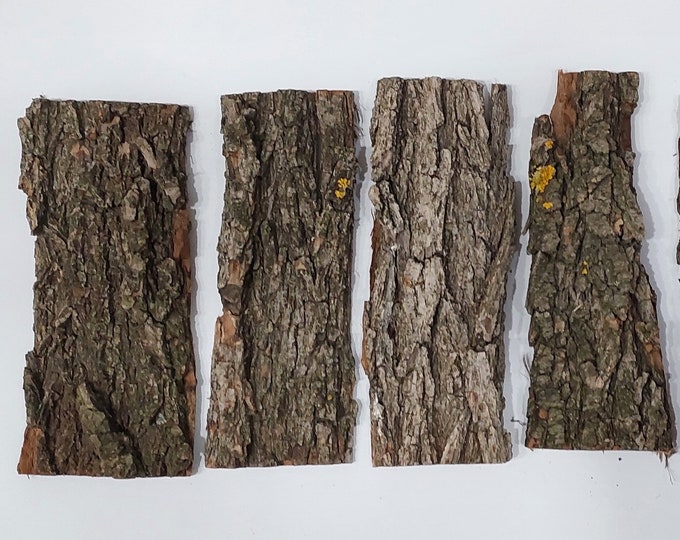 Real Tree Bark Pieces Natural Wooden Craft Supplies Tree Bark Sheets