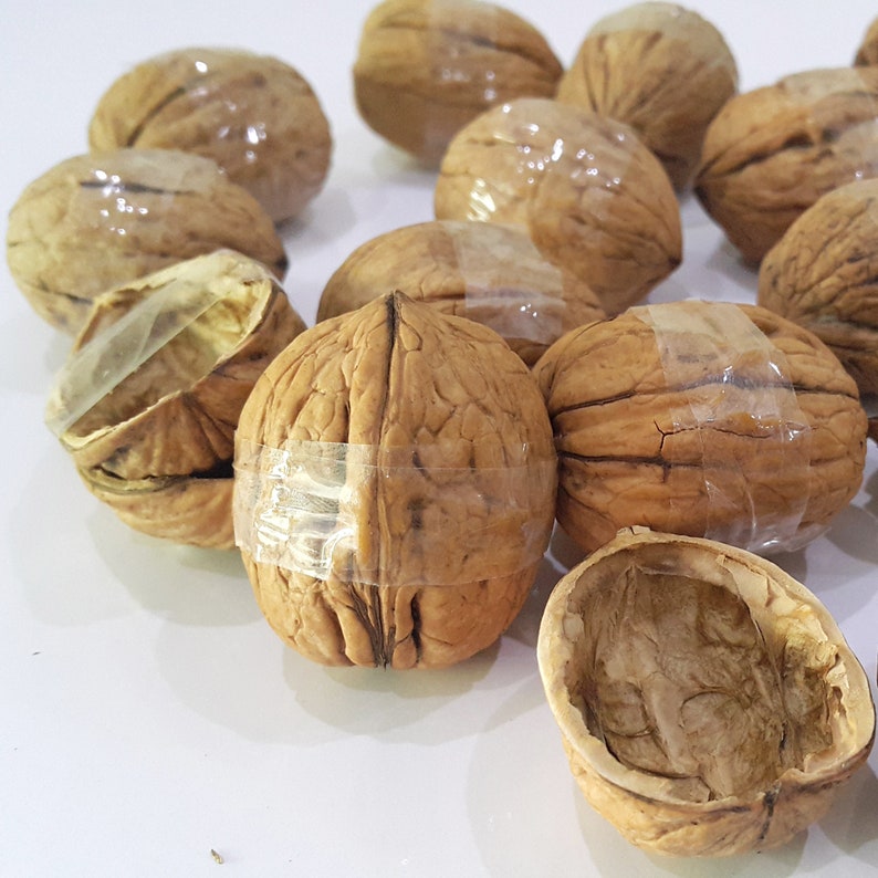 May include: A collection of brown walnuts, some whole and some halved, with clear adhesive tape wrapped around the center of the whole shells. The shells feature a textured, wrinkled surface with deep ridges and a light brown, woody appearance.