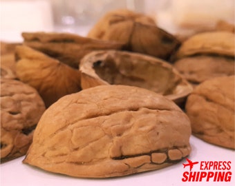 50 Walnut Shell Halves Organic Christmas Ornament Crafts Supplies Embellisment Natural Arts Supply 3 - 5 cm walnut shells for decorations.