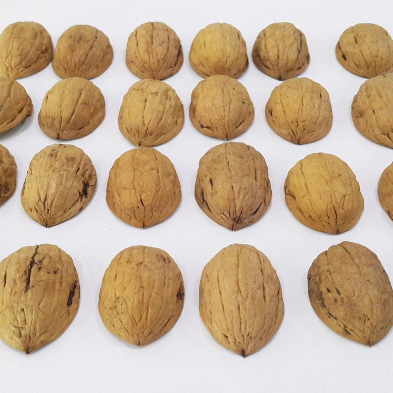 100 Organische Walnussschalenhälften Weihnachtsverzierung Handwerksbedarf Verschönerung Naturschmuck 3 - 5 cm Walnussschalen für Dekorationen. Bild 9