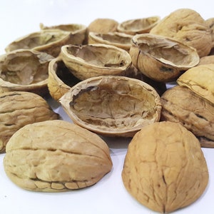 100 Organische Walnussschalenhälften Weihnachtsverzierung Handwerksbedarf Verschönerung Naturschmuck 3 - 5 cm Walnussschalen für Dekorationen. Bild 4