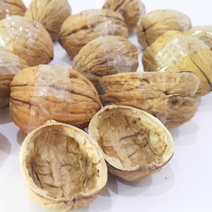 80 Natural Walnut Shell Halves Crafting Organic Ornament Crafts Supplies 3 - 5 cm walnut shells for decorations. image 7