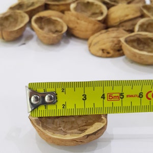 May include: A collection of empty brown walnut shells with a yellow Stanley measuring tape positioned across one shell, showing a width of approximately 1.5 inches. The shells have a textured, woody exterior and a hollow, ridged interior.