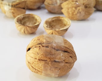 80 moitiés de coquilles de noix naturelles Création d'ornements biologiques Fournitures créatives de coquilles de noix de 3 à 5 cm pour les décorations.