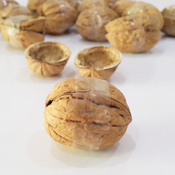 80 Natural Walnut Shell Halves Crafting Organic Ornament Crafts Supplies  3 - 5 cm walnut shells for decorations.