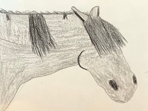 Beautiful Horse Drawings You Choose Your Horse's Color | Etsy
