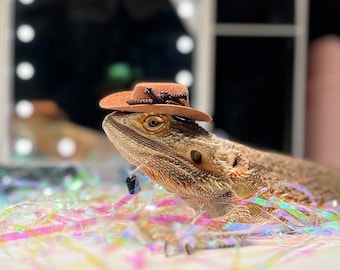 Adorable Cowboy Hats for Small Animals and Reptiles!