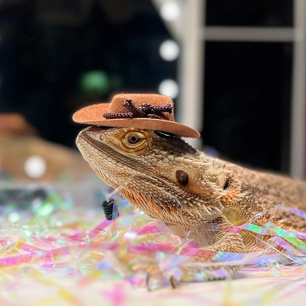 ¡Adorables sombreros de vaquero para animales pequeños y reptiles!