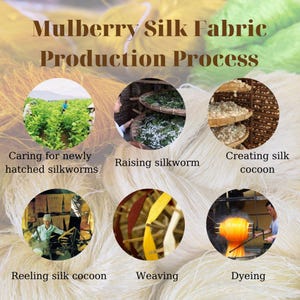May include: A visual guide to the mulberry silk fabric production process, showing steps from caring for newly hatched silkworms to dyeing the finished fabric. The images depict the stages of raising silkworms, creating silk cocoons, reeling silk cocoons, weaving, and dyeing.