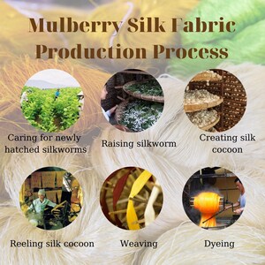 May include: A diagram showing the steps involved in the production of mulberry silk fabric. The steps are: caring for newly hatched silkworms, raising silkworms, creating silk cocoons, reeling silk cocoons, weaving, and dyeing.