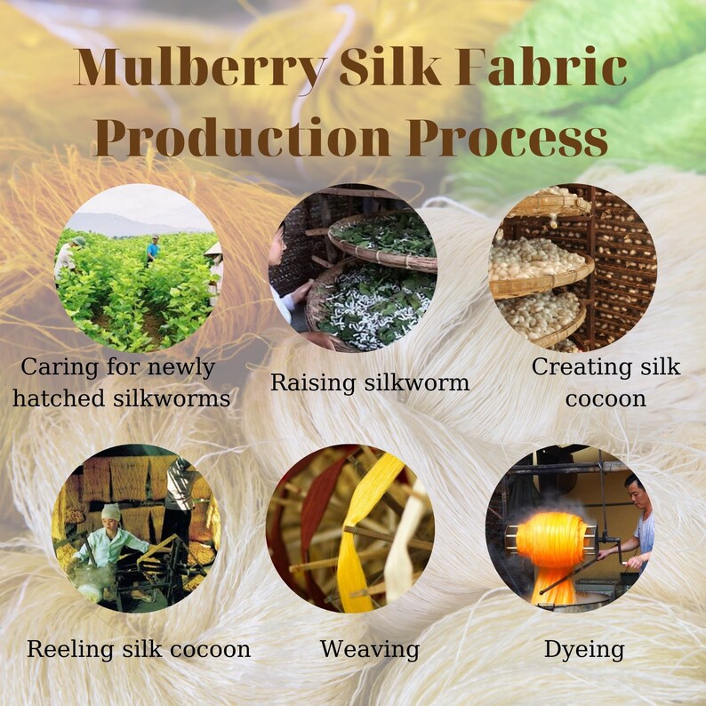 May include: A diagram showing the steps involved in the production of mulberry silk fabric. The steps are: caring for newly hatched silkworms, raising silkworms, creating silk cocoons, reeling silk cocoons, weaving, and dyeing.