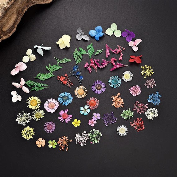 1Box Pressed Dried Mini Flower Dry Plants for Epoxy Resin Pendant Necklace Epoxy Mold Filling Jewelry Making Craft Decoration,1Box 