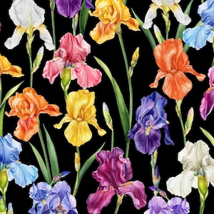 Multicolor Floral Pattern Fabric - Big Flowers on Black Background