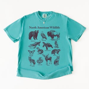 Pu&ograve; includere: Una maglietta turchese con una grafica della fauna selvatica nordamericana. Il design include illustrazioni di orso nero, aquila calva, bisonte, alligatore, tartaruga, gufo, farfalla, lontra di fiume, procione, lupo, serpente, alce e volpe rossa.
