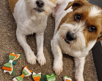 Luck of the Irish Dog Bow Ties