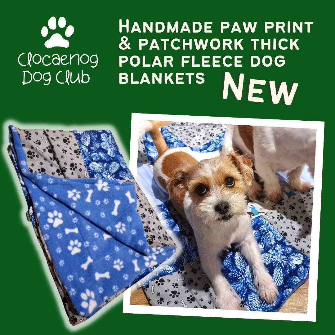 Why Do Dogs Paw At Blankets