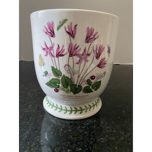 Portmeirion Botanic Garden 15 cm Vase, Efeublättrige Alpenveilchen