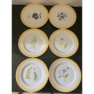 【未使用】Williams Sonoma ウィリアムズソノマ　同サイズ プレート Williams Sonoma ウィリアムズソノマ サラダプレート 4枚セット 【公式