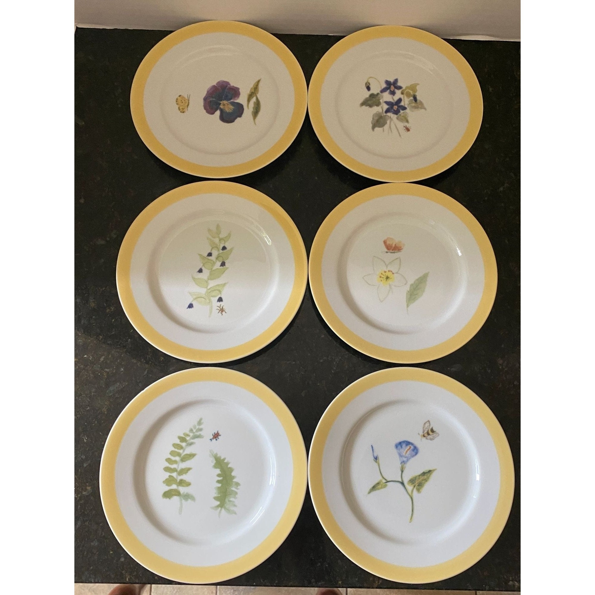 Williams sonoma plate - Etsy 日本