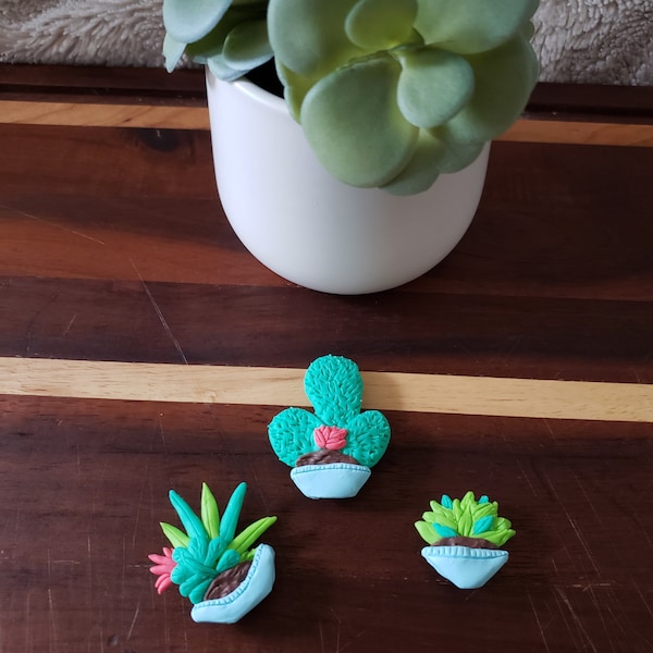 Succulent Etsy