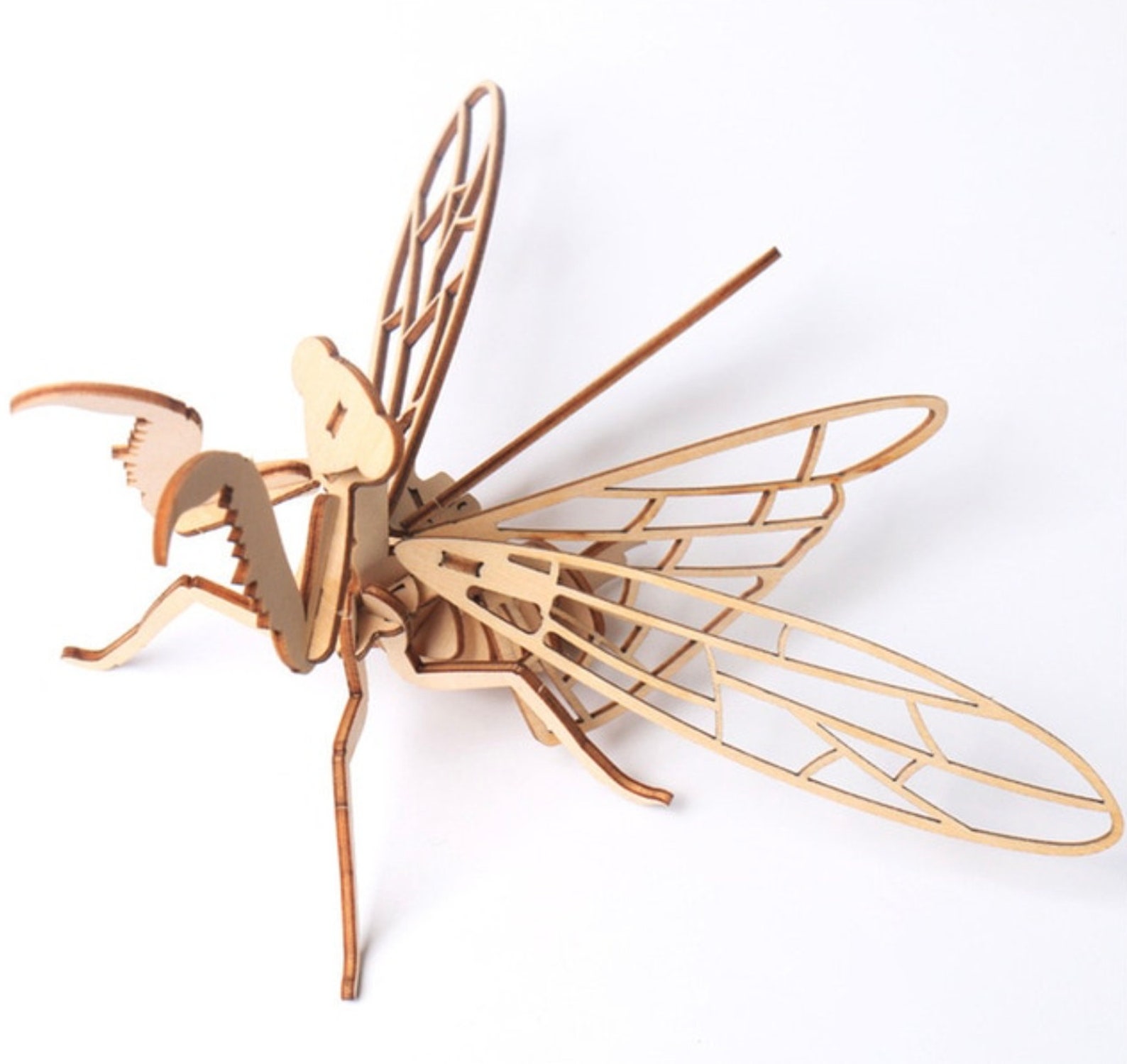 3D Wooden Puzzle Insect Model Assembly Kit Intellectual Etsy