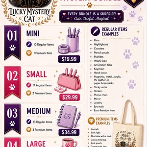 Stationary Surprise Box! -- Mystery Bundle