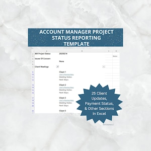 May include: A spreadsheet template for account managers to track project status, client meetings, and issues of concern. The template includes sections for client updates, payment status, and other information. The spreadsheet is titled "Account Manager Project Status Reporting Template".