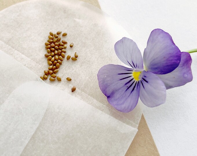 Purple Violet Seeds Viola Flower Seeds Annual Plants Edible Etsy