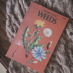 Vintage Flower Paperback, Botany Book, Gardening Guide, Plant Book with Illustrations, Botanical Drawings, Vintage Coral Book, Dandelions