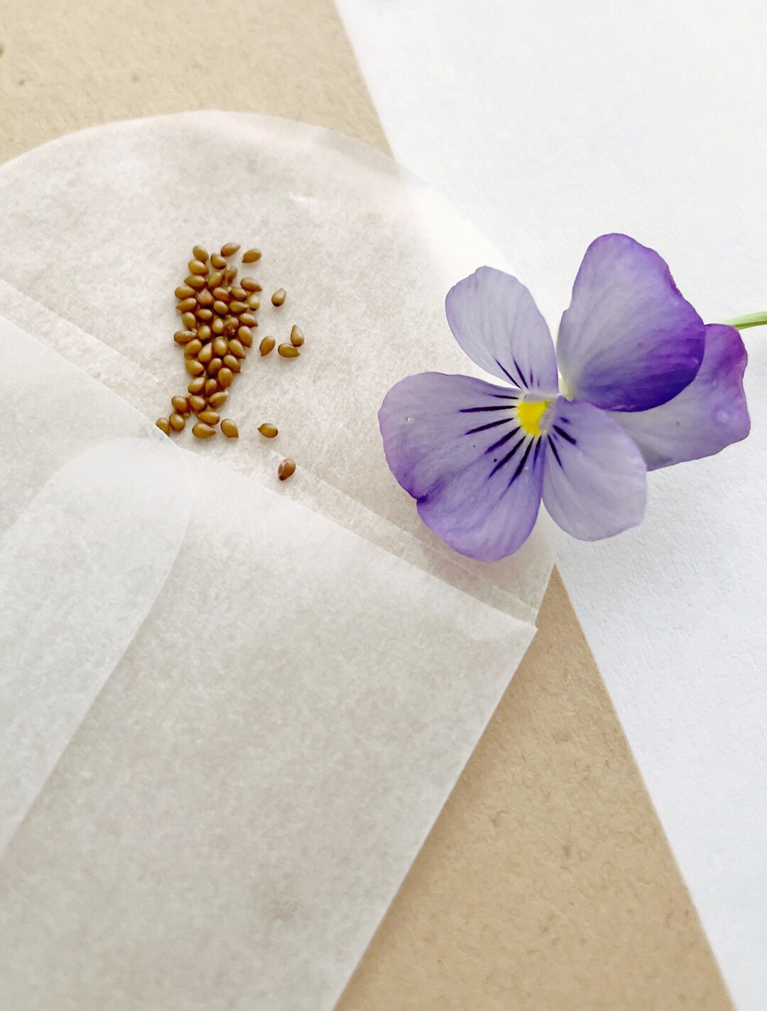 Purple Violet Seeds Viola Flower Seeds Annual Plants Edible Etsy