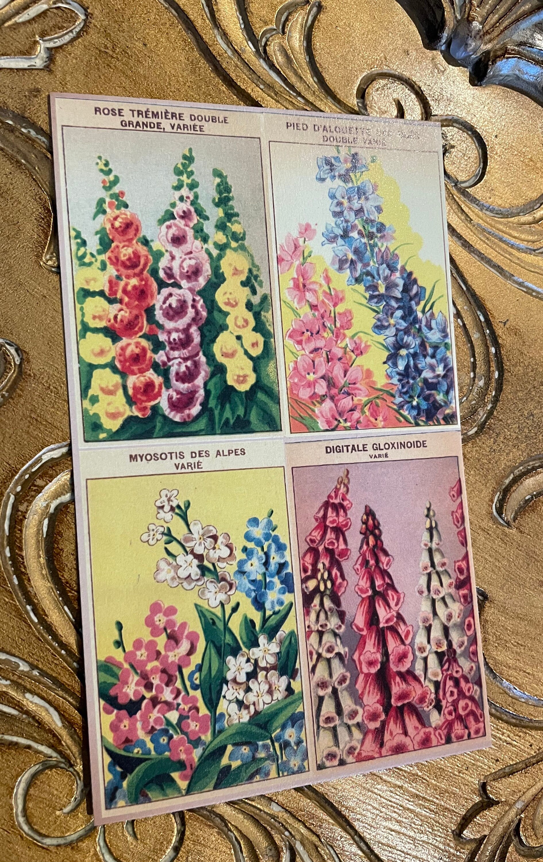 Postcard Set of 6 - Retro Art Cards Feat. Vintage French Seed Labels ...