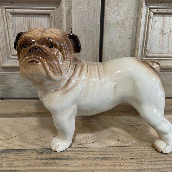 Antique Melba Ware British Bulldog - Staffordshire Pottery Dog Figurine