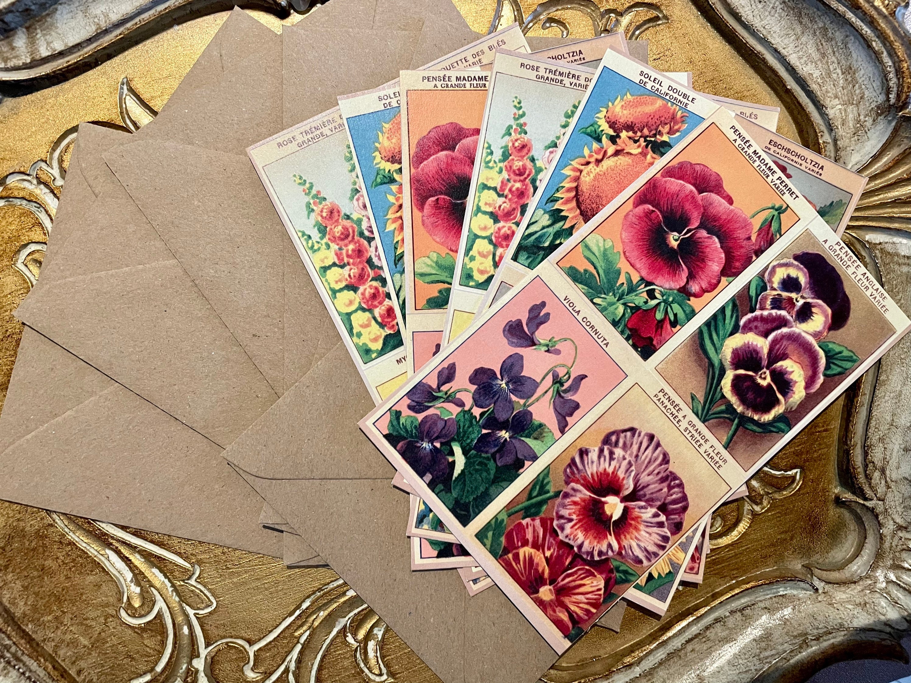 Postcard Set of 6 - Retro Art Cards Feat. Vintage French Seed Labels ...