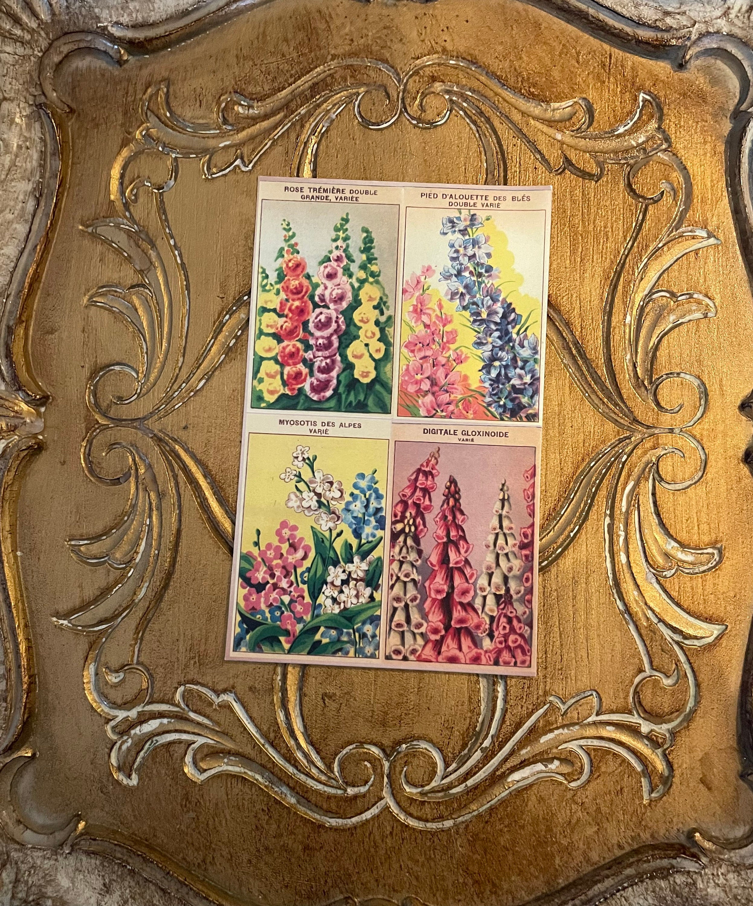 Postcard Set of 6 - Retro Art Cards Feat. Vintage French Seed Labels ...