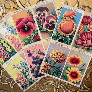 Zestaw 6 pocztówek - Retro Art Cards feat. Vintage French seeds labels - A6 Botanical & Flower Postcards