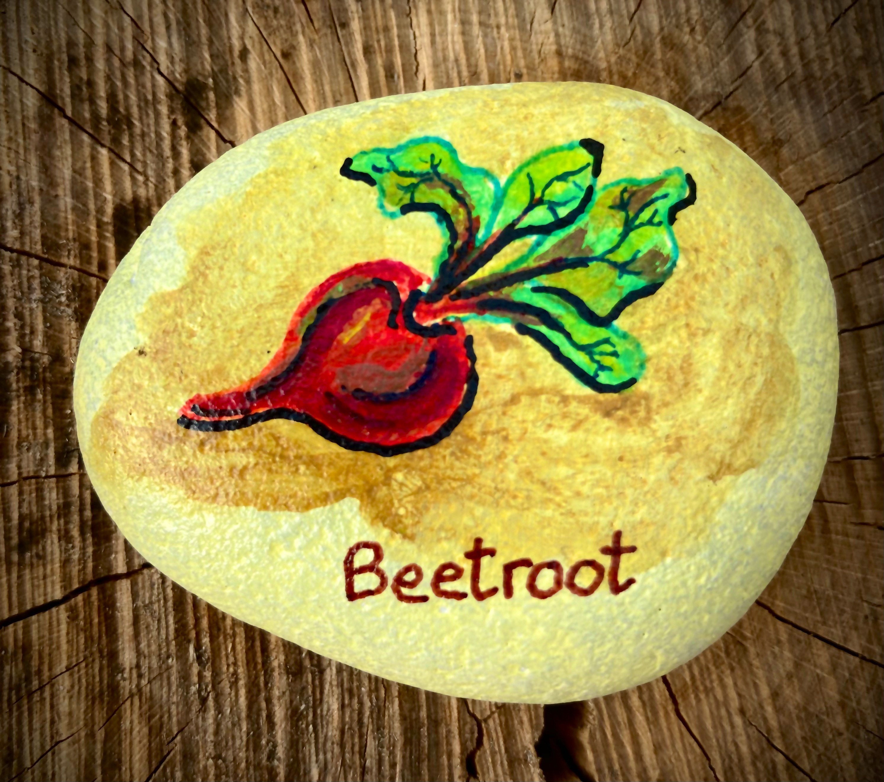 Vegetable marker painted pebbles Etsy