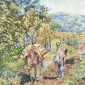 Café de Colombia Arriero