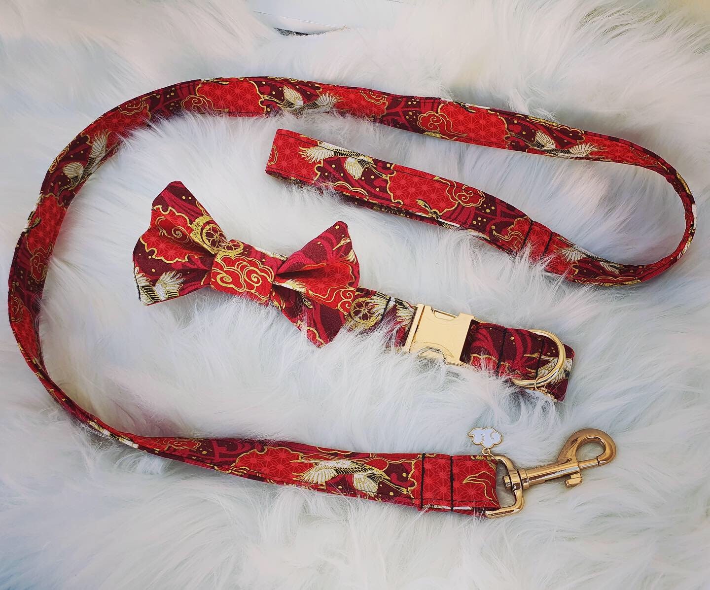 Ensemble Collier et Laisse Pour Chien Red Cloud