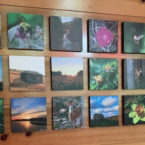 Könnte beinhalten: Eine Wandmontage von 16 gerahmten Fotografien, jede mit einer anderen Naturszene. Die Fotos zeigen einen Sonnenuntergang über einem See, eine Scheune auf einem Feld, einen Kolibri im Flug, ein Reh im Wald und ein Sonnenblumenfeld.