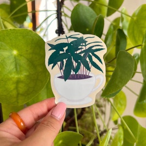 Tasse de caféier - Sticker brillant et imperméable